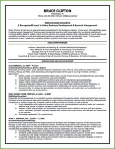 Sales Account Executive Resume Template