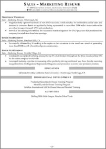 Sales Executive Resume Examples Free