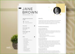 Sales Manager Cv Template Word