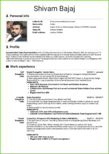 Sales Manager Resume Template