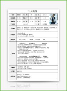 Sales Manager Resume Template Word