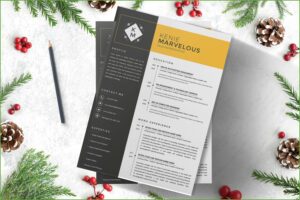 Sales Representative Cv Template