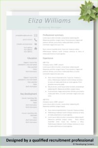Sales Resume Template Word