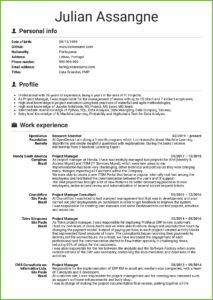 Sample Cv Of Senior Project Manager