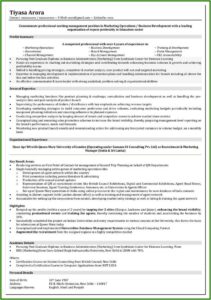 Sample Executive Resume Format