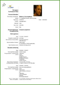 Sample Of Cv Format