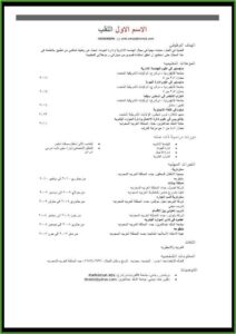 Sample Of Cv Writing