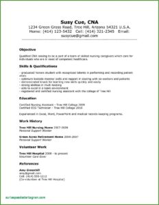 Sample Resume For Registered Nurse Without Experience Philippines