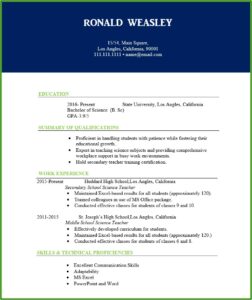 Sample Resume For Teachers In India Word Format Download