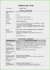 Sample Resume Format Pdf Download Free