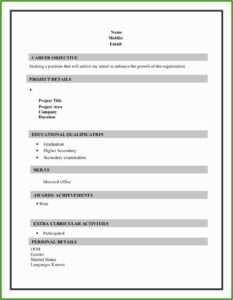 Sample Resume Formats Download
