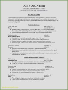 Samples Professional Resumes