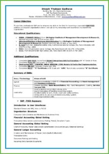 Sap Mm End User Resume Sample