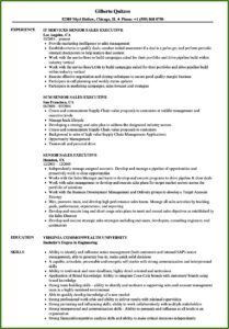 Senior Sales Executive Resume Samples