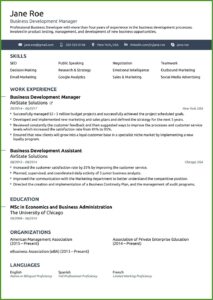 Simple Examples Of Resume