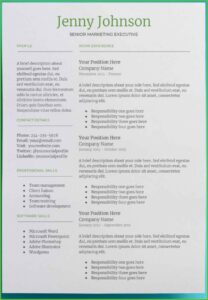 Skills Based Resume Template Google Docs