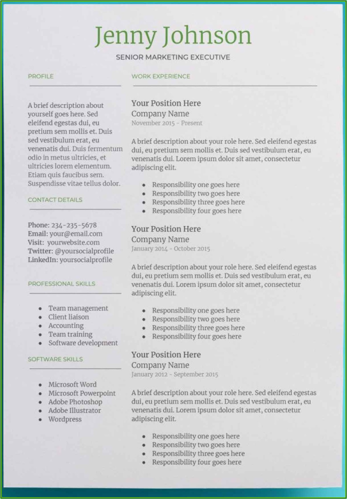 Skills Based Resume Template Google Docs