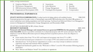 Software Engineer Resume Professional Summary