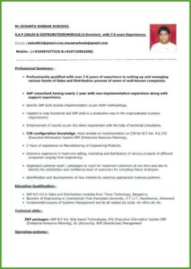 Software Professional Resume Format