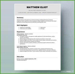 Software Professional Resume Samples Doc