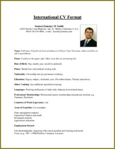 Some Professional Resume Format