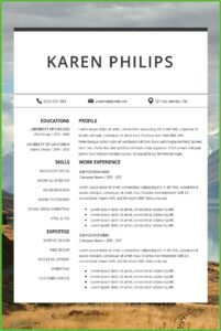 Standard Cv Template Word