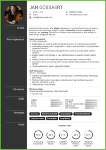 Standard Resume Format For Accountant