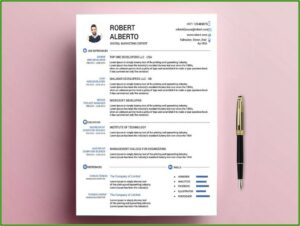 Standard Resume Template Word Free Download