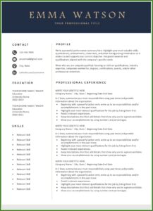 Template For Professional Resume