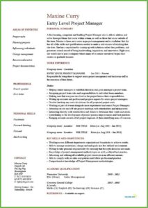 Template Resume Project Manager