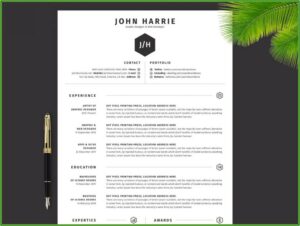 Top Resume Templates Download