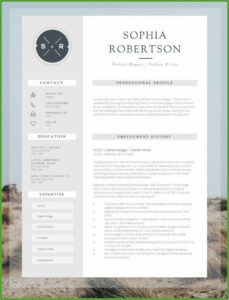 Top Ten Creative Resumes