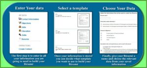 Totally Free Resume Template
