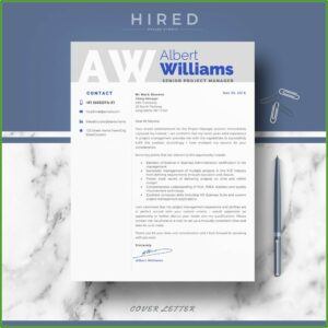 Word Templates For Professional Resume