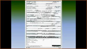 American Passport Renewal Application Form