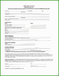 Child Medical Consent Template