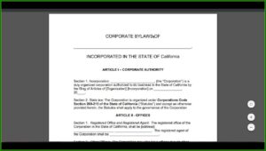 Corporate Bylaws Template Doc
