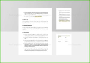 Debt Settlement Agreement Template