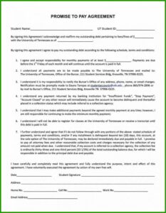 Debt Settlement Agreement Template South Africa