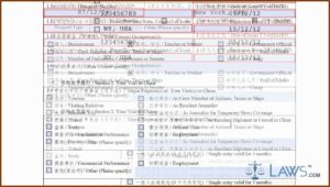 Fillable Chinese Visa Application Form