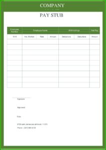 Free Pay Stub Template Generator