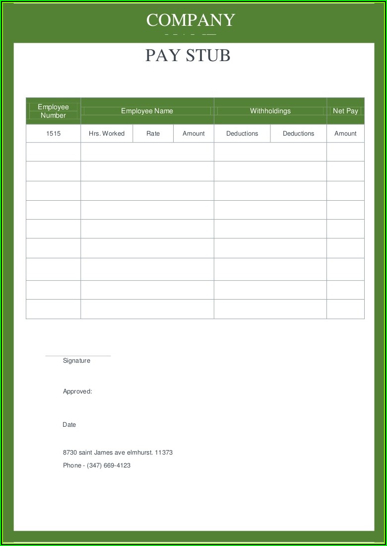 pay-stub-generator-template-template-2-resume-examples-gm9oao3vdl