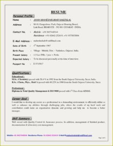 Generic Resume Template Pdf