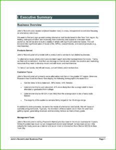 Independent Record Label Business Plan Template Pdf