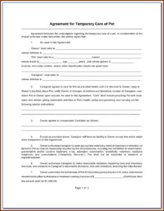 Indiana Temporary Child Custody Forms