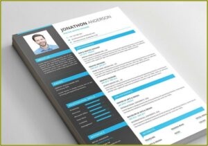 Modern Resume Templates Free