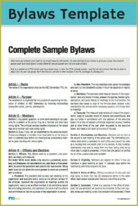 Non Profit Bylaws Template Free