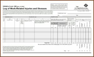 Osha 300 Fillable Forms 2019