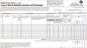 Osha Forms For Recording Work Related Injuries And Illnesses 2017