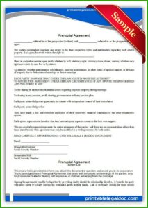 Prenuptial Contract Template South Africa